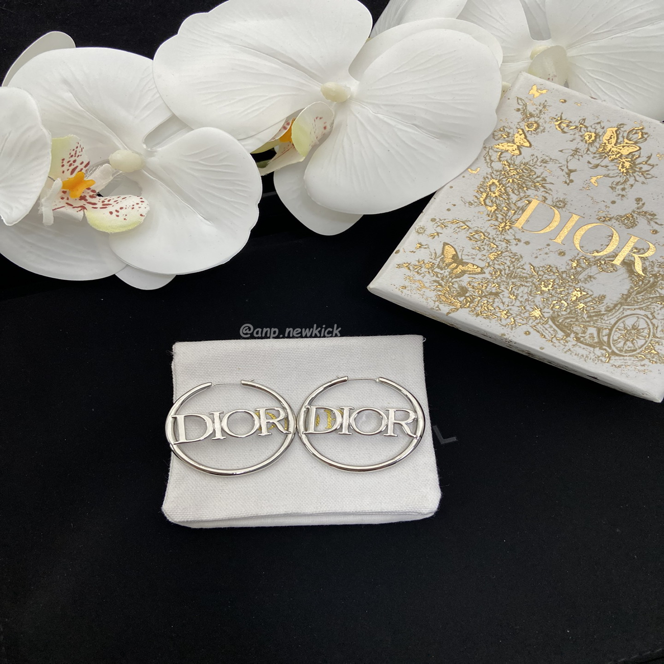 Dior Earring (11) - www.newkick.vip